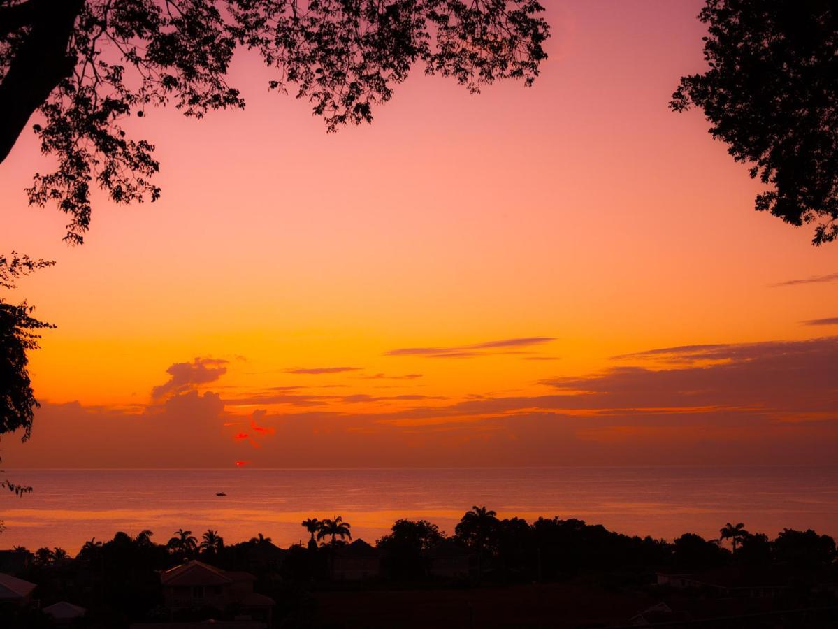 Colleton Great House Hotel Saint Peter Bagian luar foto